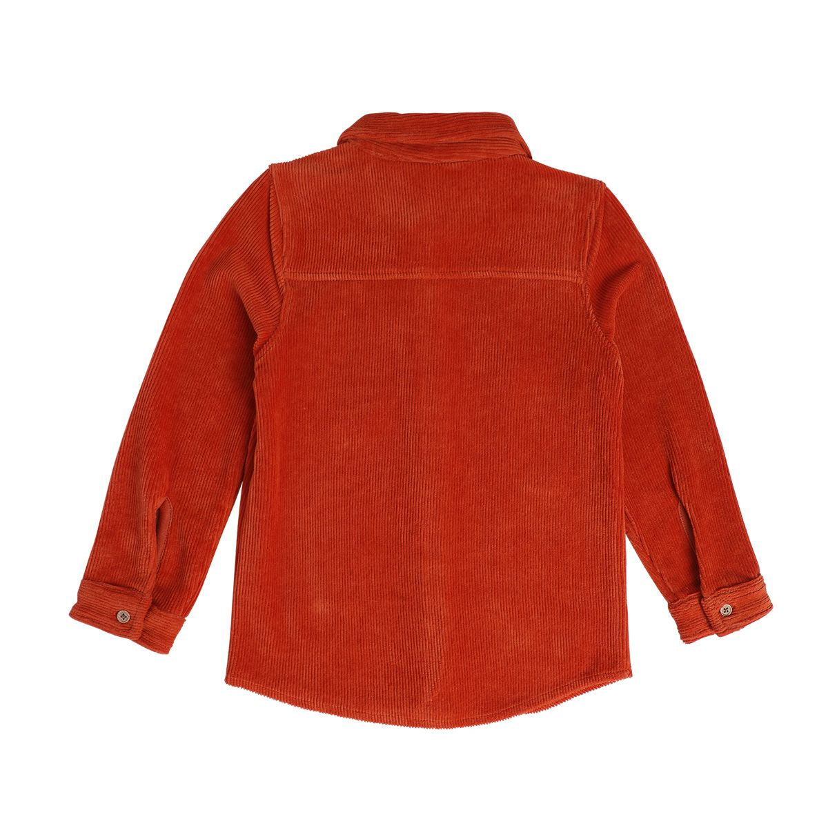 Boys Orange Pack Of 1 Shirt