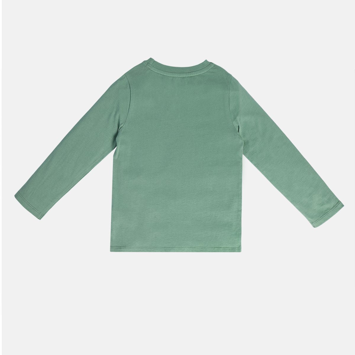 Boys Green Pack Of 1 T-Shirt