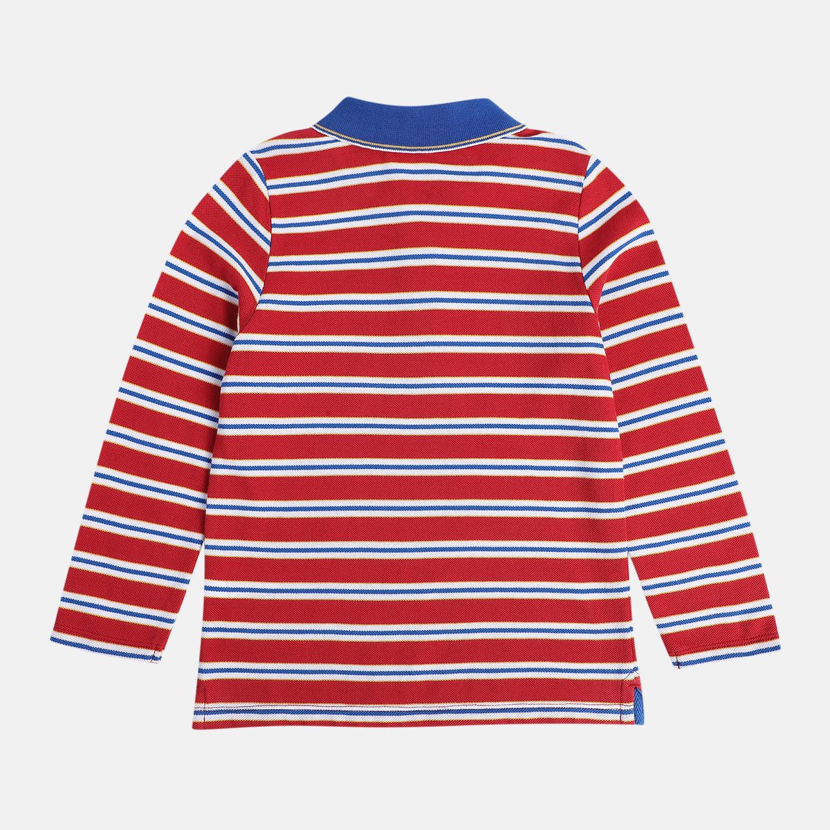 Boys Multicolor Pack Of 1 Polo