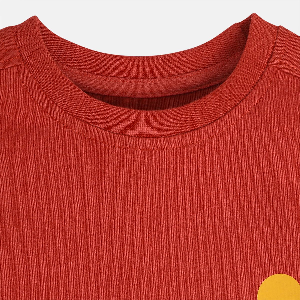 Boys Rust Orange Round Neck Full Sleeves T-Shirt