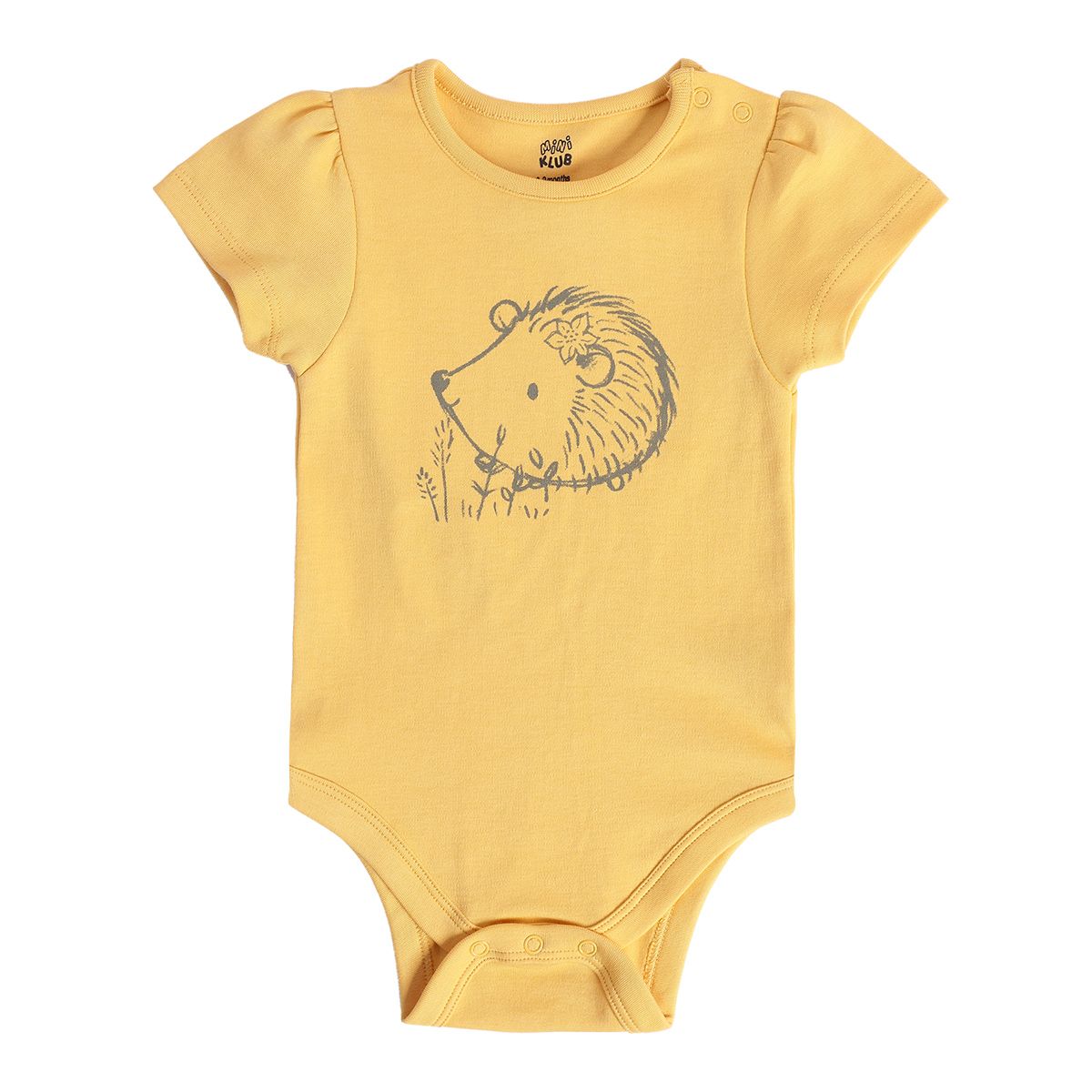 Girls Multicolor Pack Of 3 Body Suit