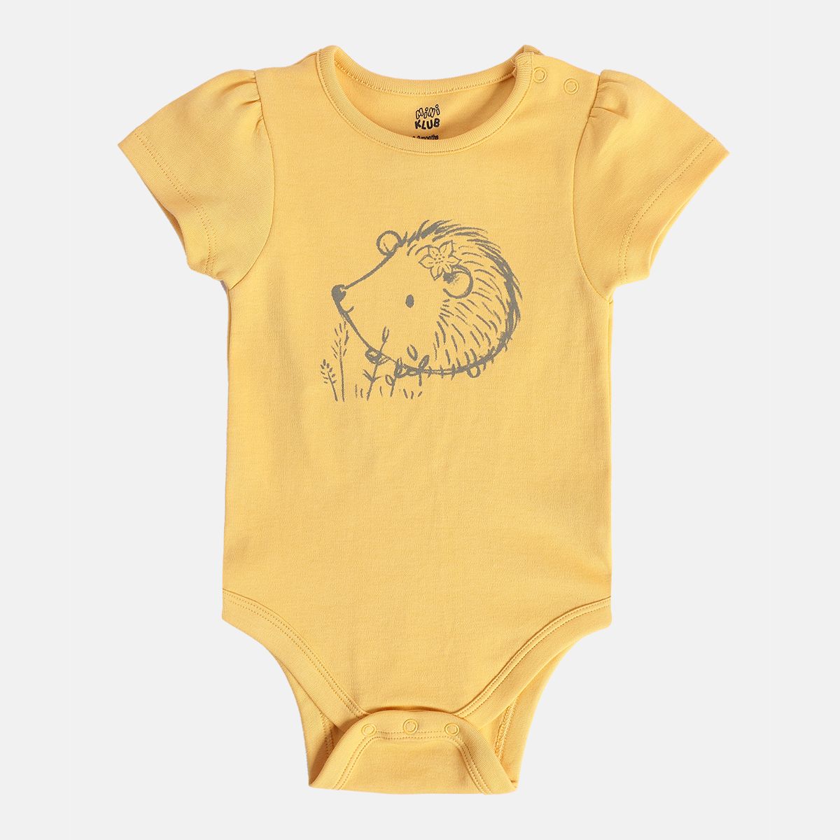 Girls Multicolor Pack Of 3 Body Suit