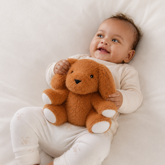 Baby Unisex Brown Polyester Plush Dog Soft Toy With Floppy Ears Pack Of 1 For Cuddling Playtime And Gifting