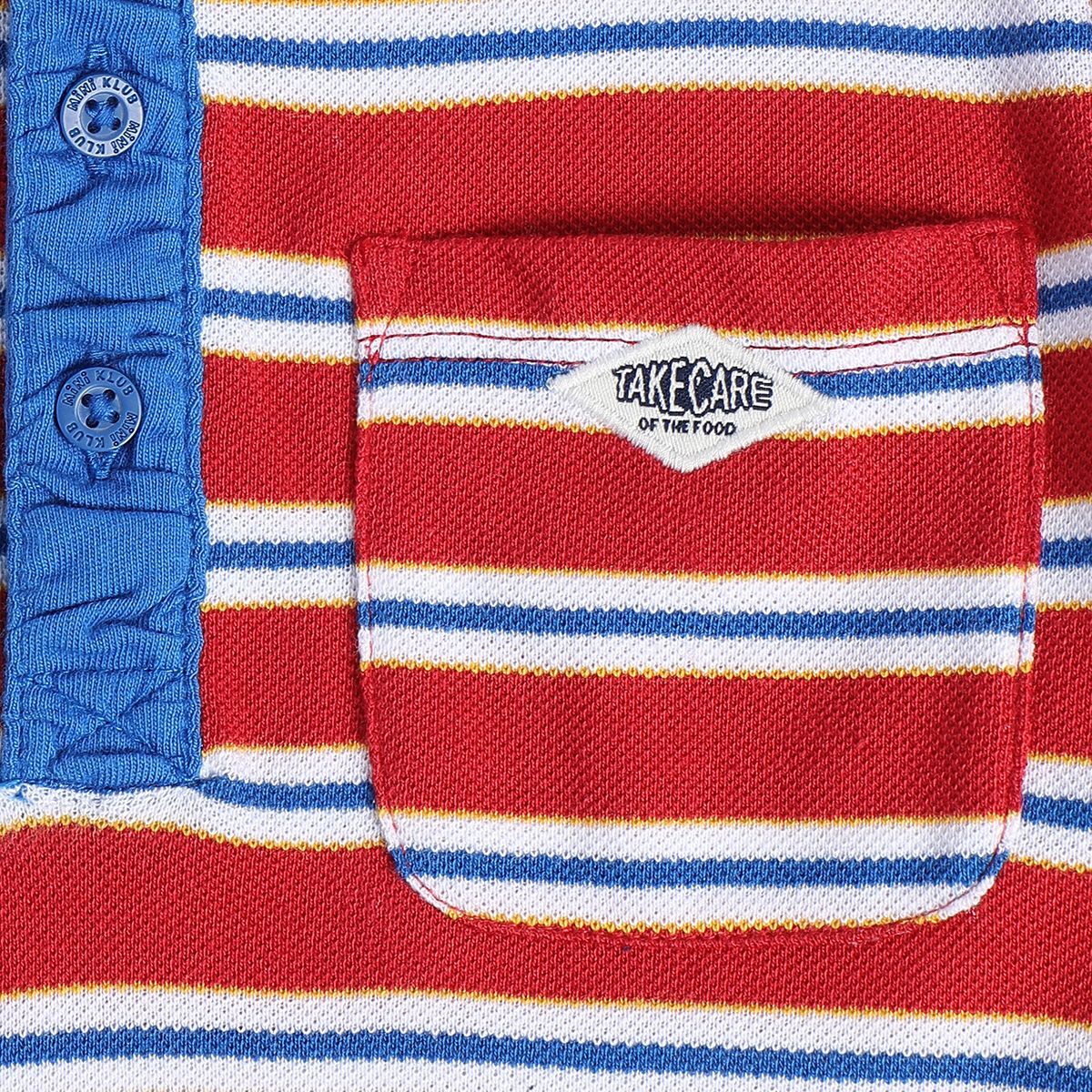 Boys Multicolor Pack Of 1 Polo