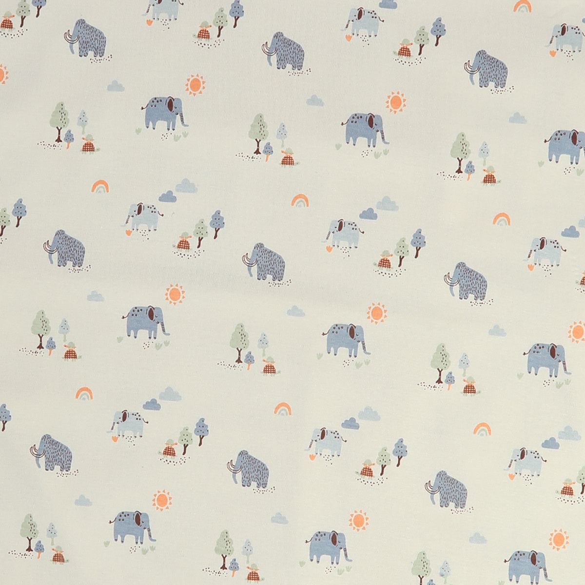 Po 2 Blanket
