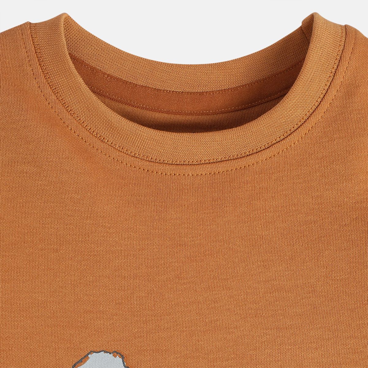Boys White/Brown Round Neck Full Sleeves T-Shirt