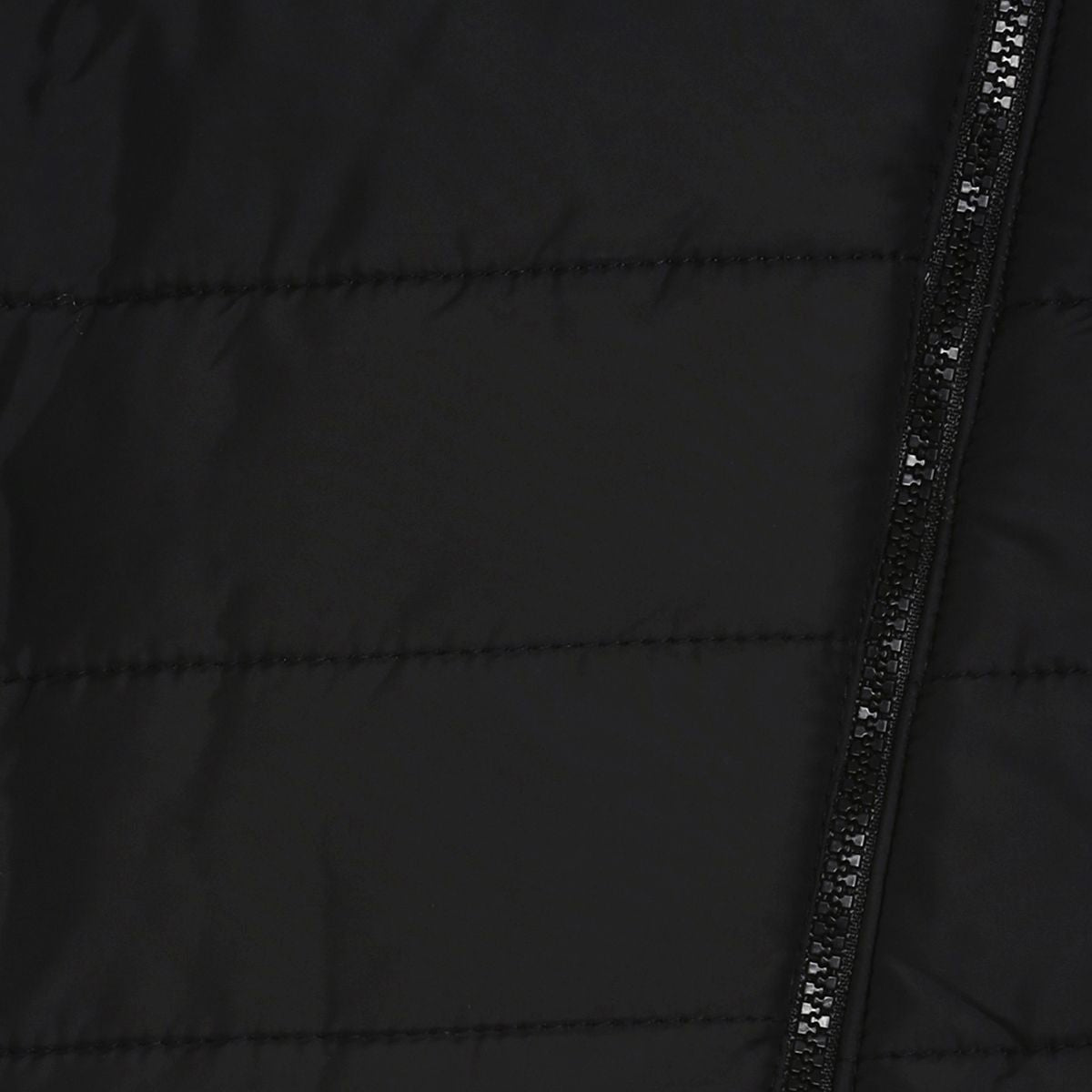 Dark Grey  Jacket