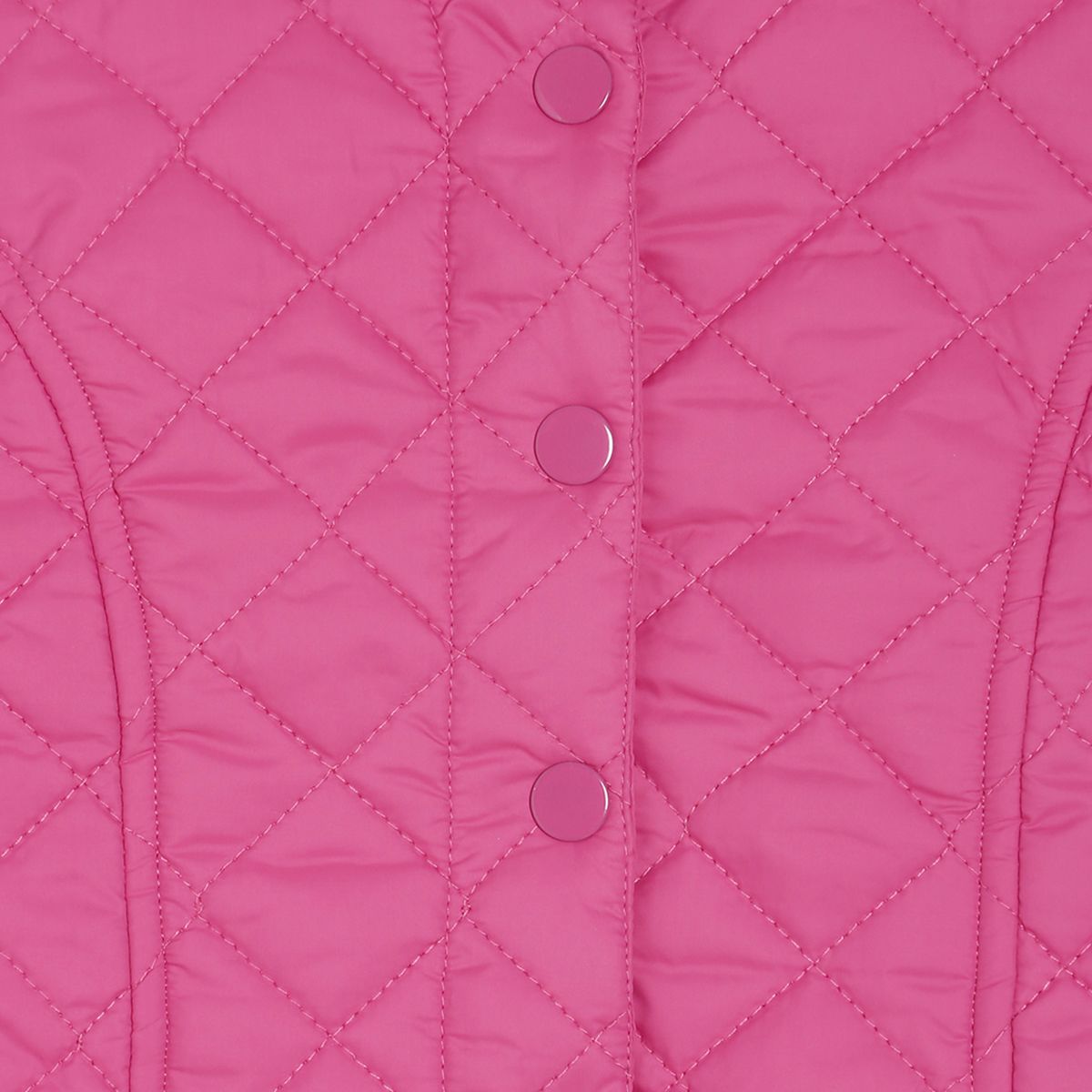 Dk Purple  Jacket