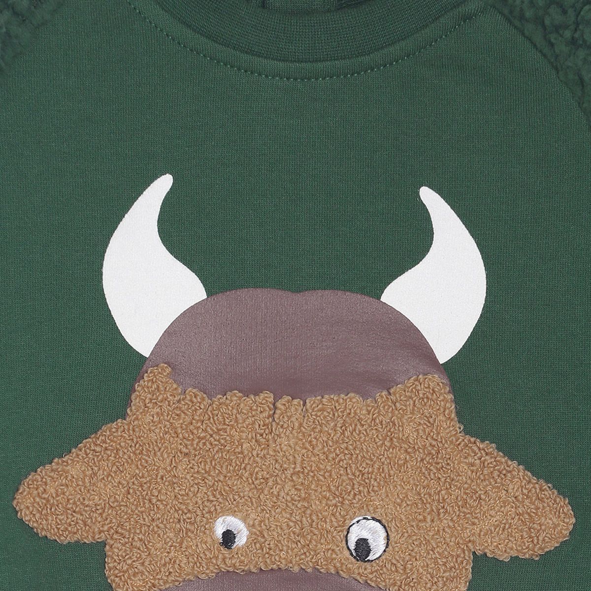 Boys Green Sweatshirt