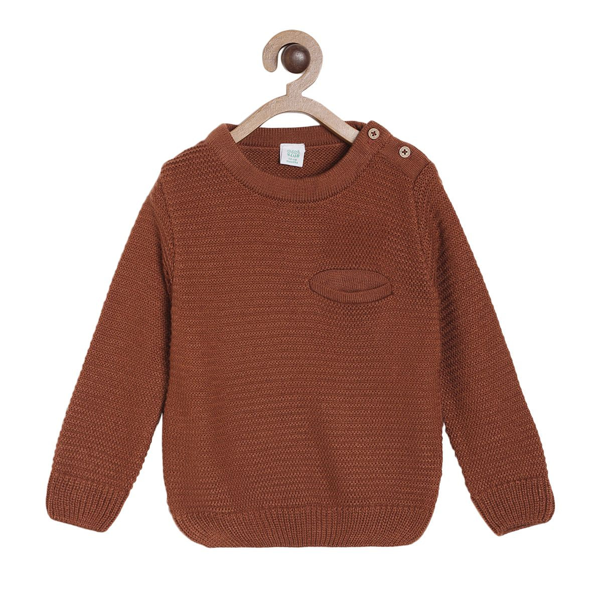 Boys Brown Sweater