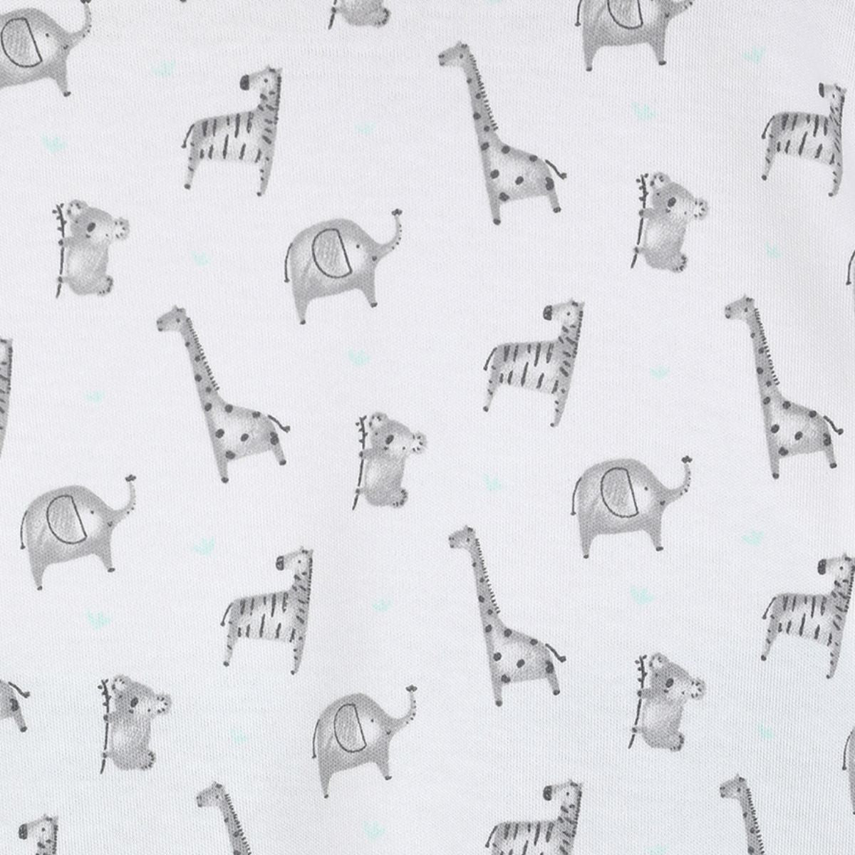 Boys Multi T-Shirt and Knit Bottom