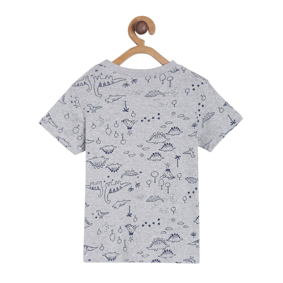 Boys Multi T-Shirt