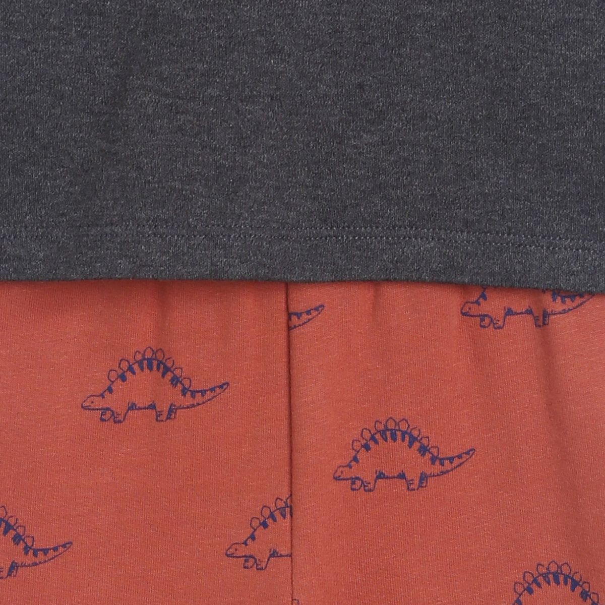 Boys Multi T-Shirt and Knit Bottom