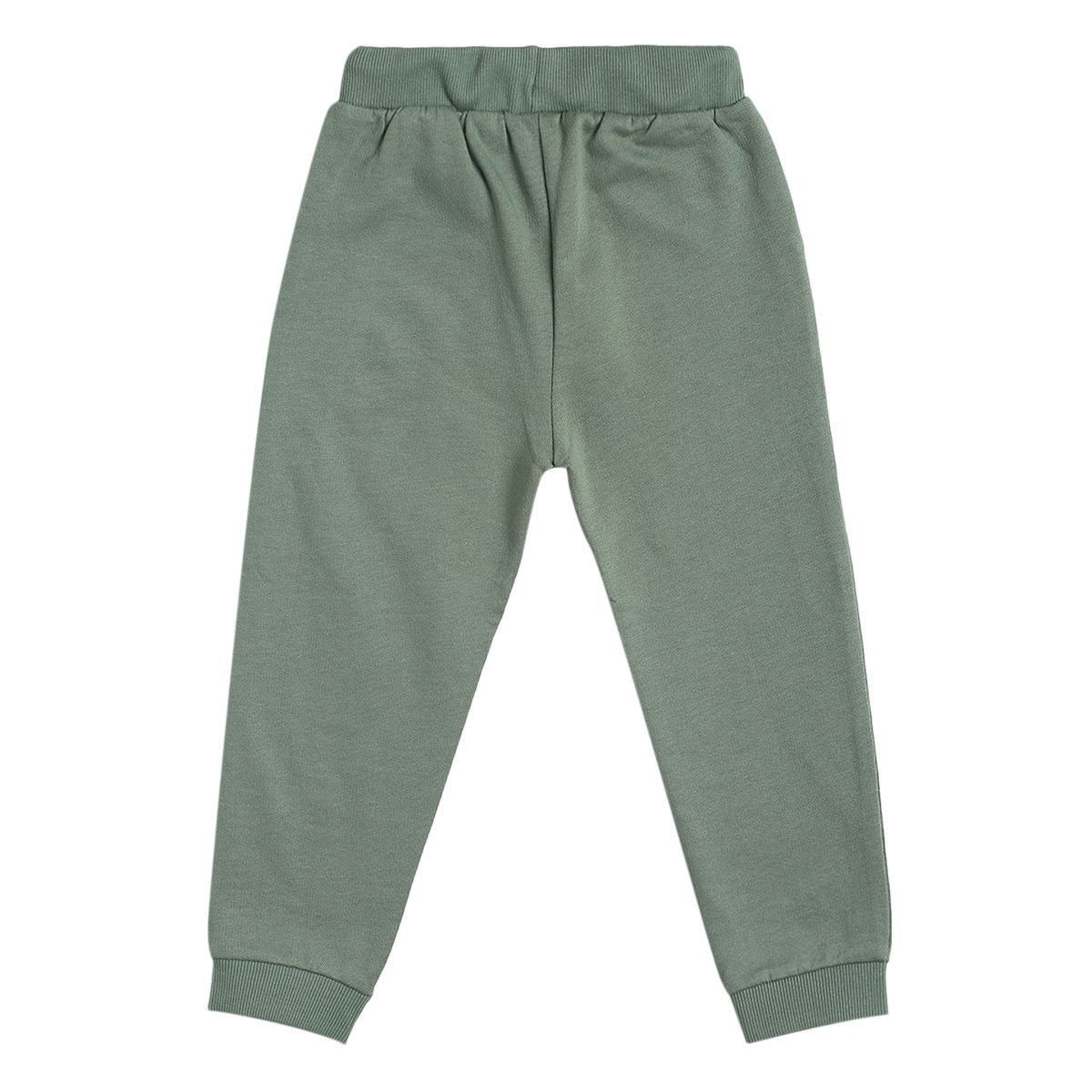 Pack of 1 knit jogger - olive for 3-6 Months
