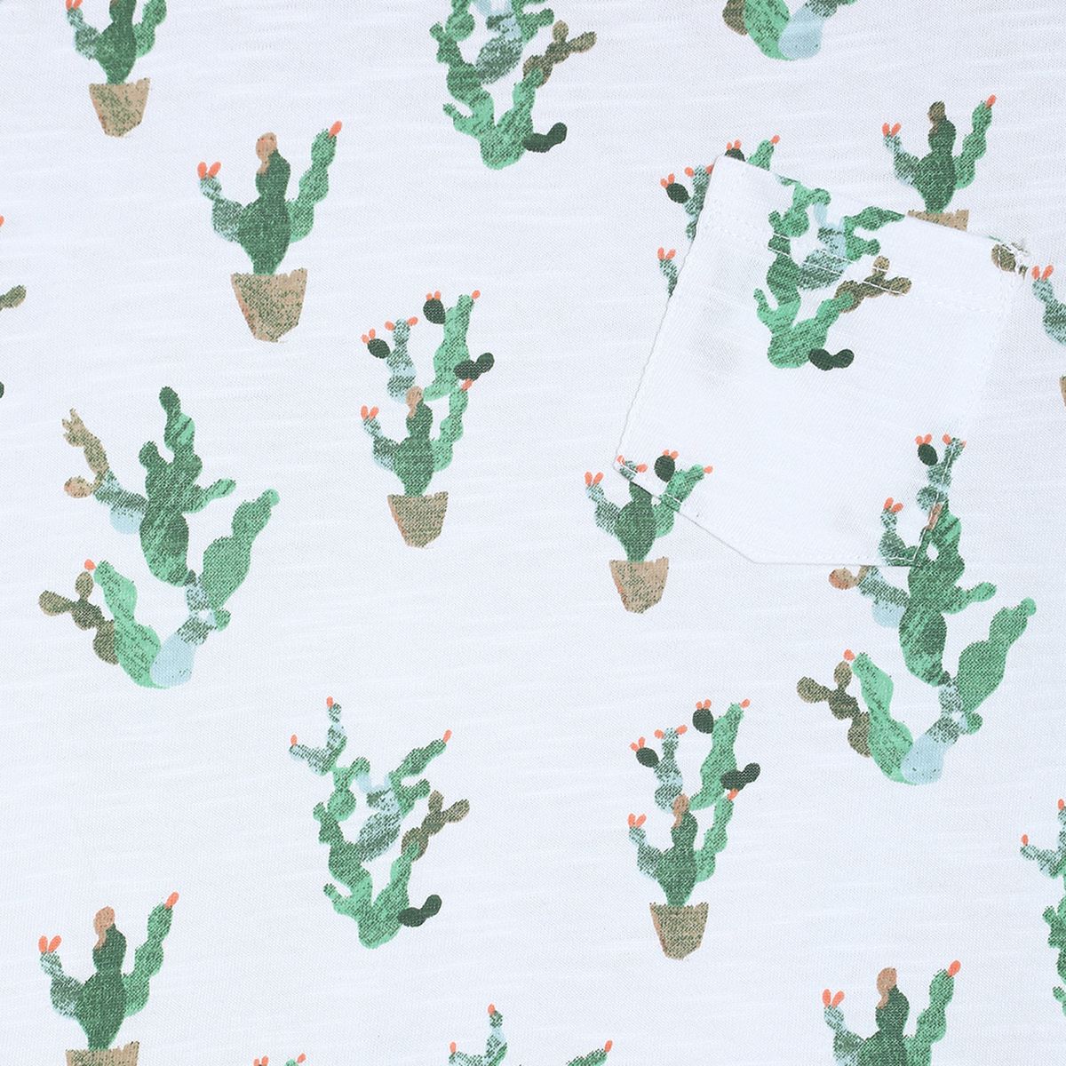 Pack of 1 t-shirt - white for 3-6 Months