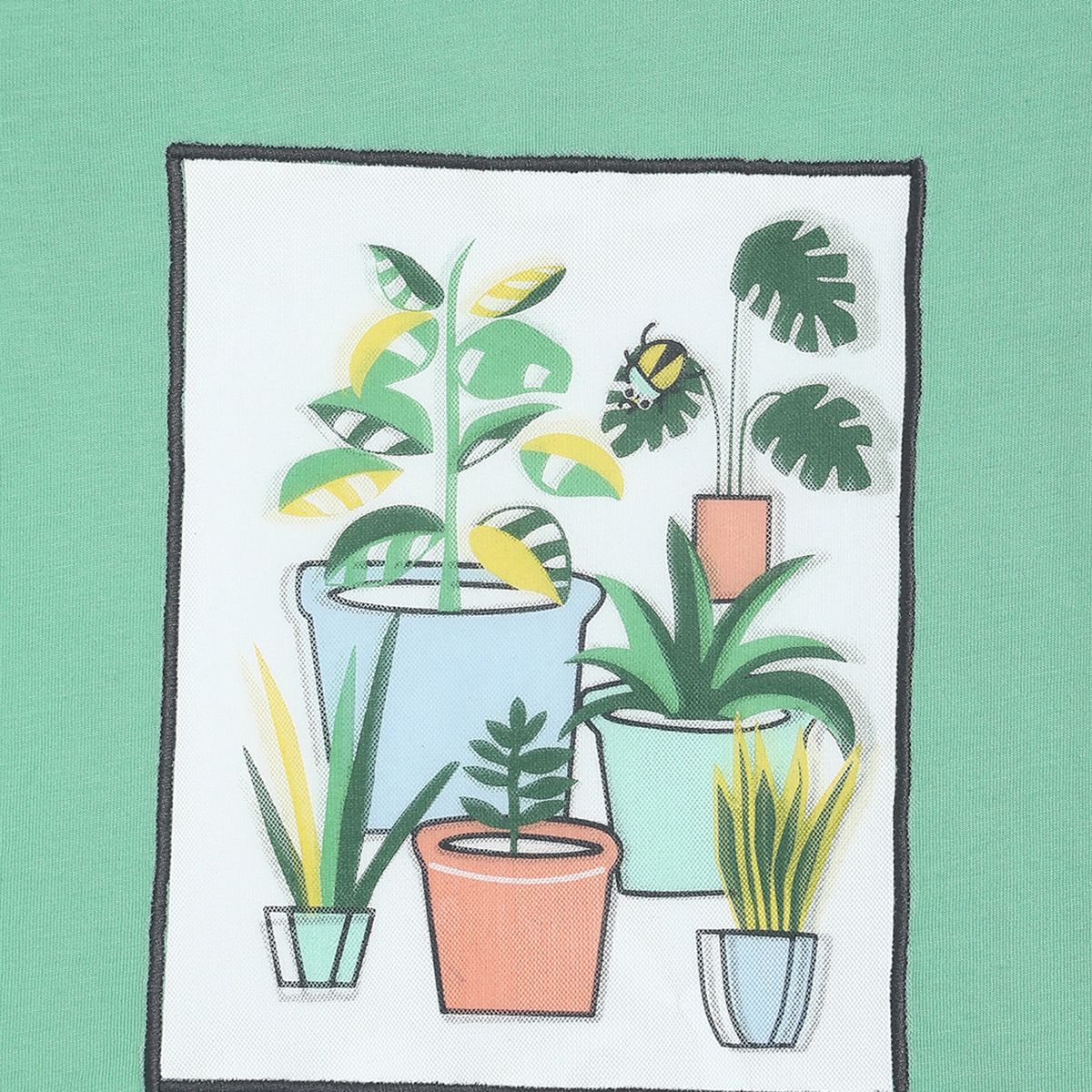 Pack of 1 t-shirt - green for 3-6 Months