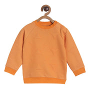 Pack of 1 knit sweat shirt - orange for 3-6 Months