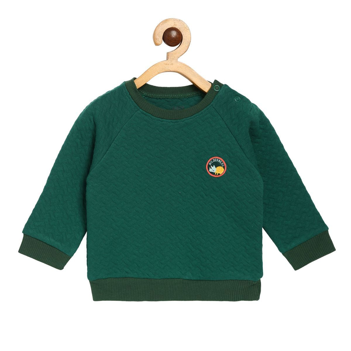 Pack of 1 knit sweat shirt - green for 3-6 Months