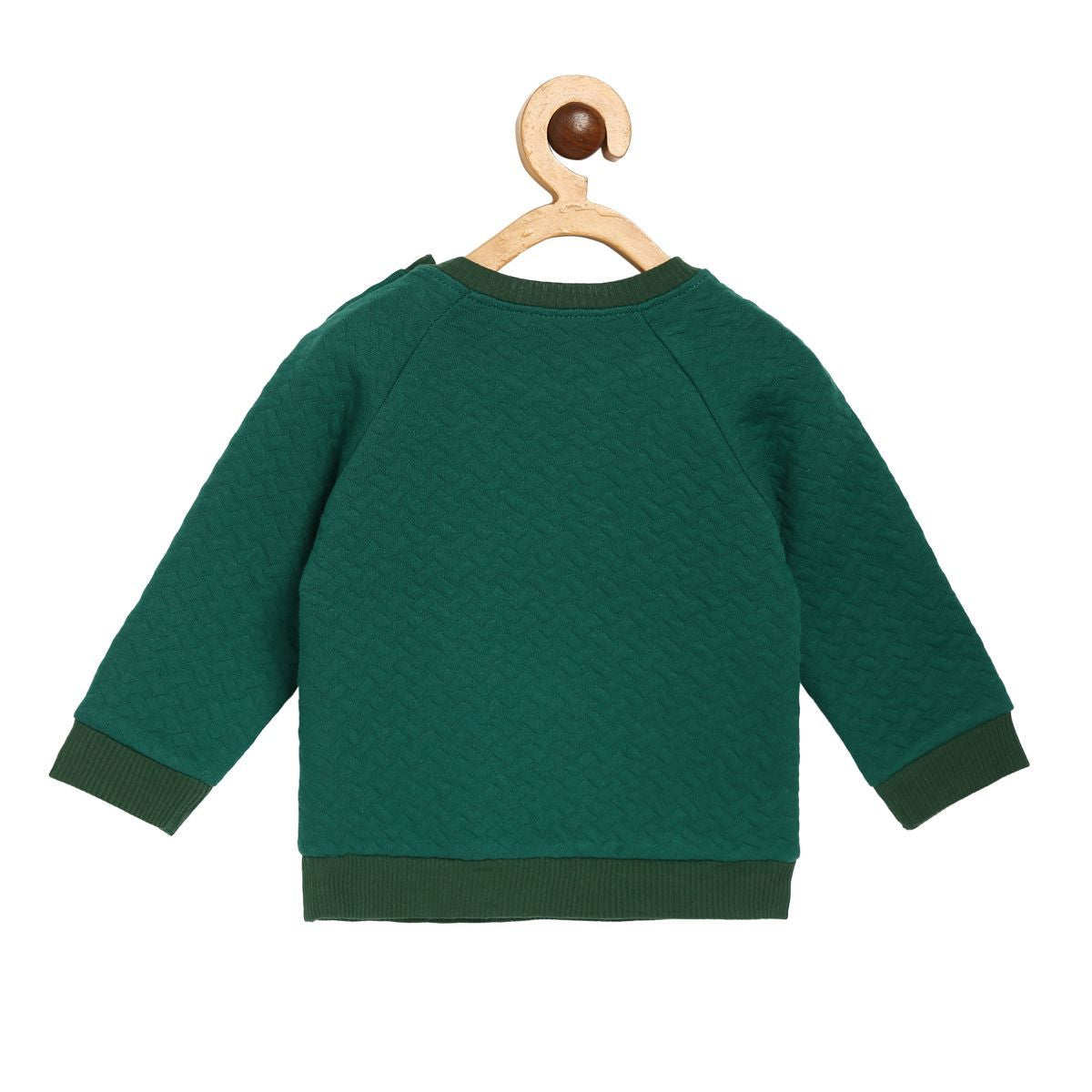 Pack of 1 knit sweat shirt - green for 3-6 Months