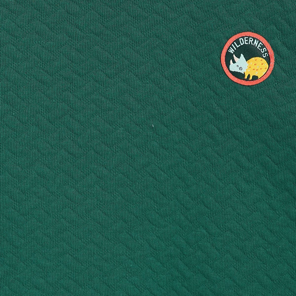 Pack of 1 knit sweat shirt - green for 3-6 Months