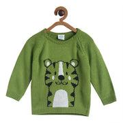Pack of 1 sweater - green for 0-3 Months