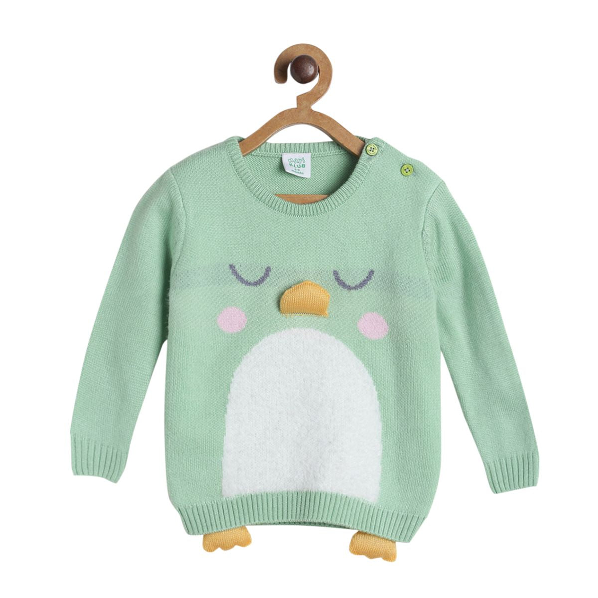 Pack of 1 sweater - green for 0-3 Months