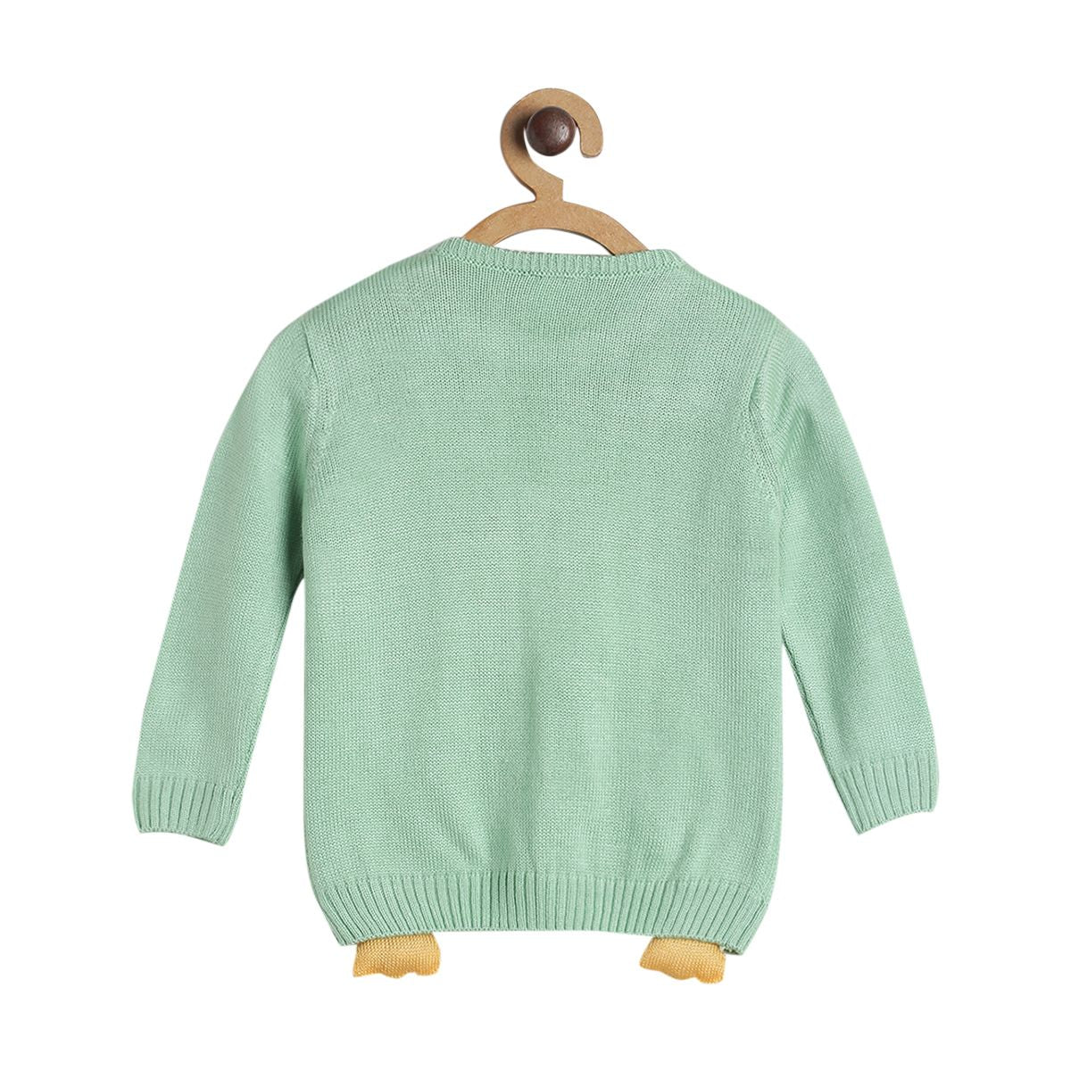 Pack of 1 sweater - green for 0-3 Months