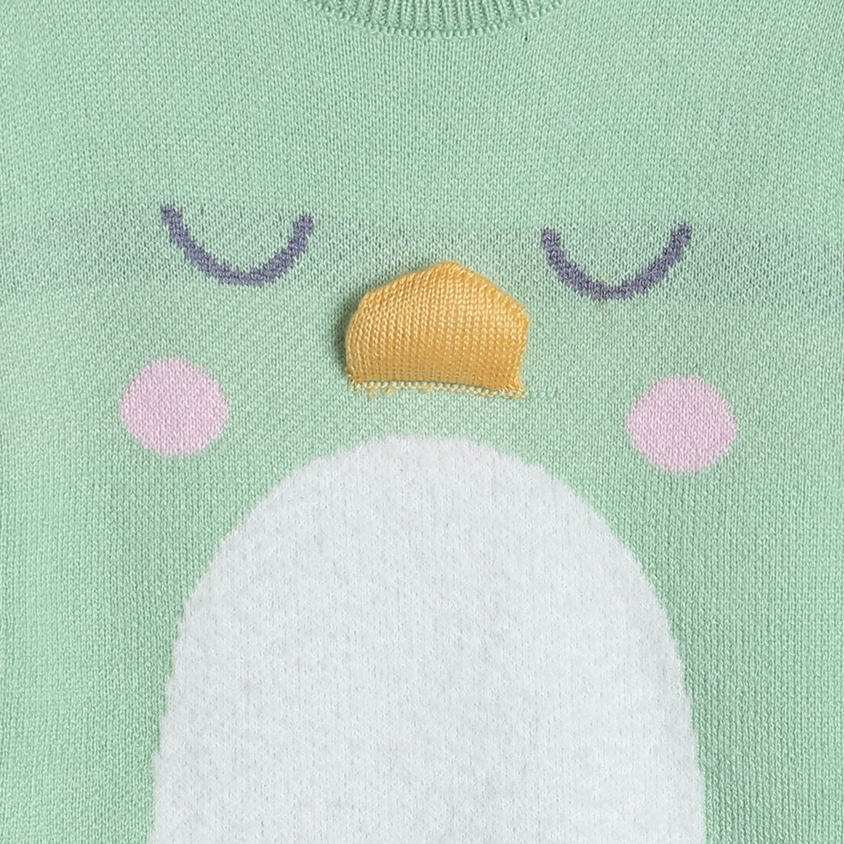 Pack of 1 sweater - green for 0-3 Months