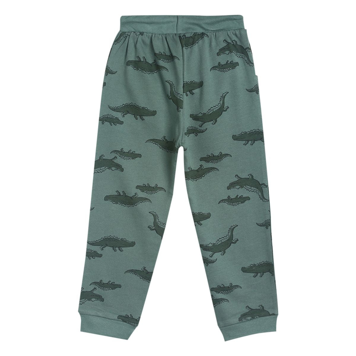 Pack of 1 knit jogger - olive for 3-6 Months