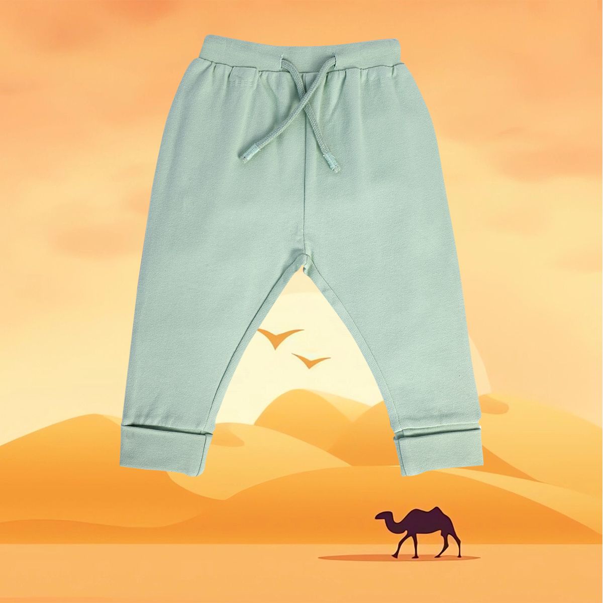 Boys Green Pack Of 1 Jogger