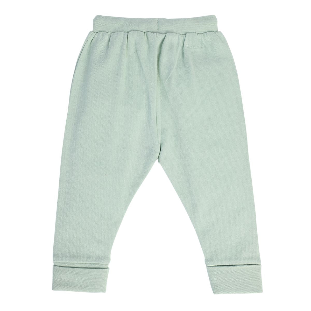 Boys Green Pack Of 1 Jogger
