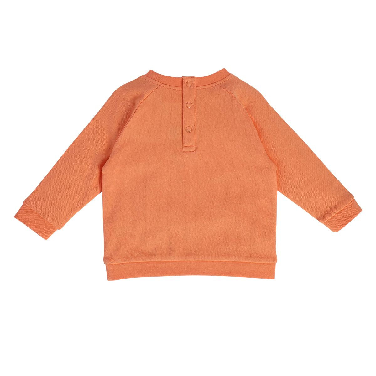 Boys Orange Pack Of 1 Sweat Shirt