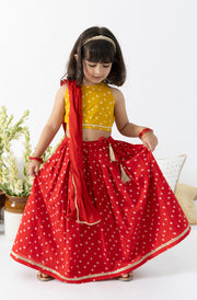 Tiber Taber Girls Bandhani Print Choli, Lehenga and Dupatta Set, Yellow and Red