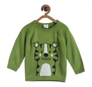 Boys Green Tiger Sweater