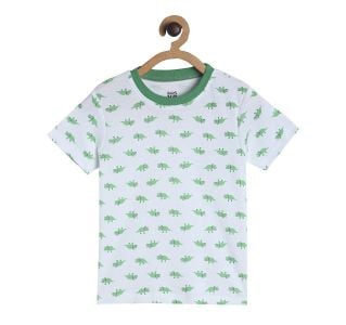 Boys Grey Dino Printed Tshirt