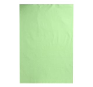 Unisex Green Bed Protector Sheet